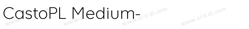 CastoPL Medium字体转换